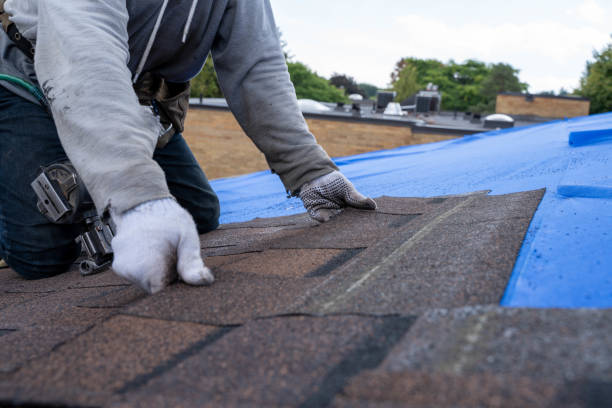Best Roofing Contractor Near Me  in Thompsonville, PA